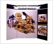wall panel display
